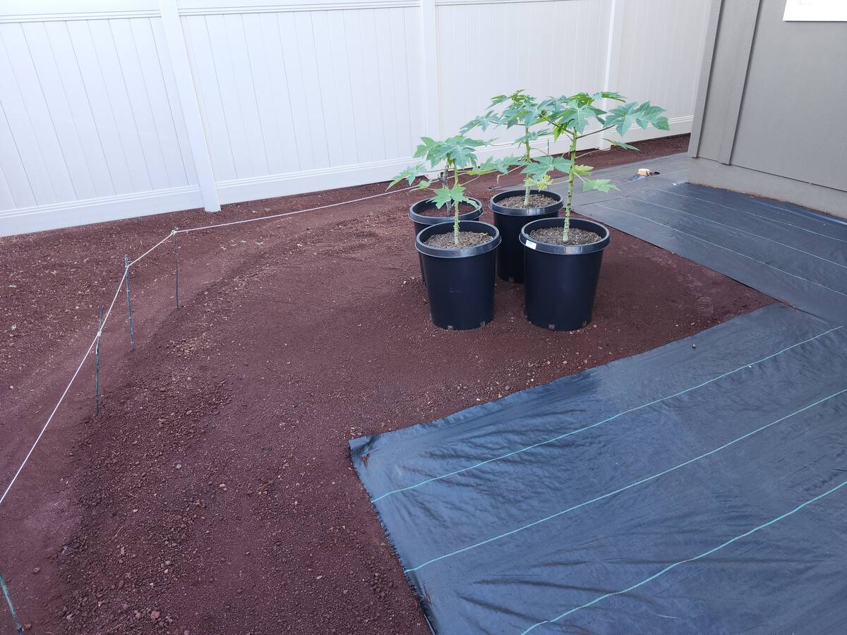 Concrete project in Makaha, Oahu by Cruz Control Concrete Hawaii